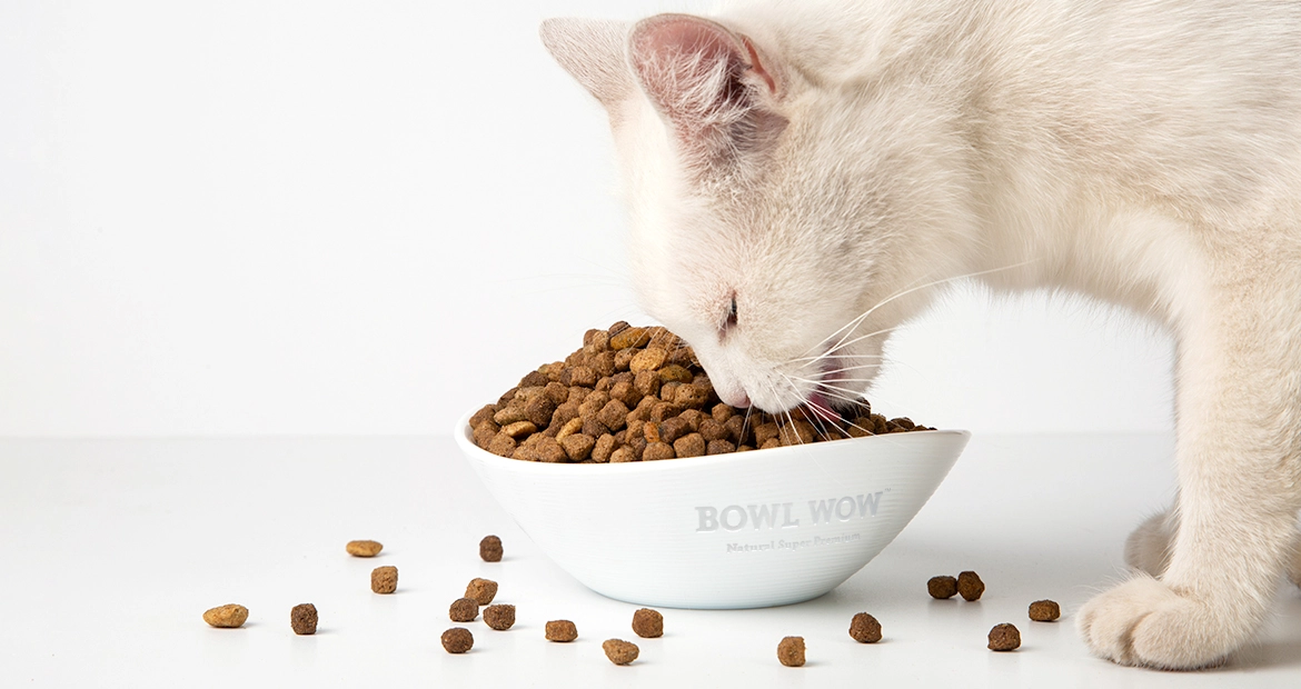 Что влияет на вкусовую привлекательность корма для кошки? | BOWL WOW